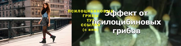 apvp Навашино