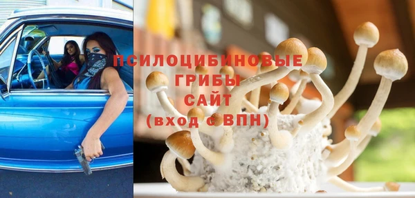 apvp Навашино